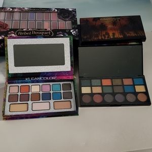 Color Decoder Palette & Tropical Passion